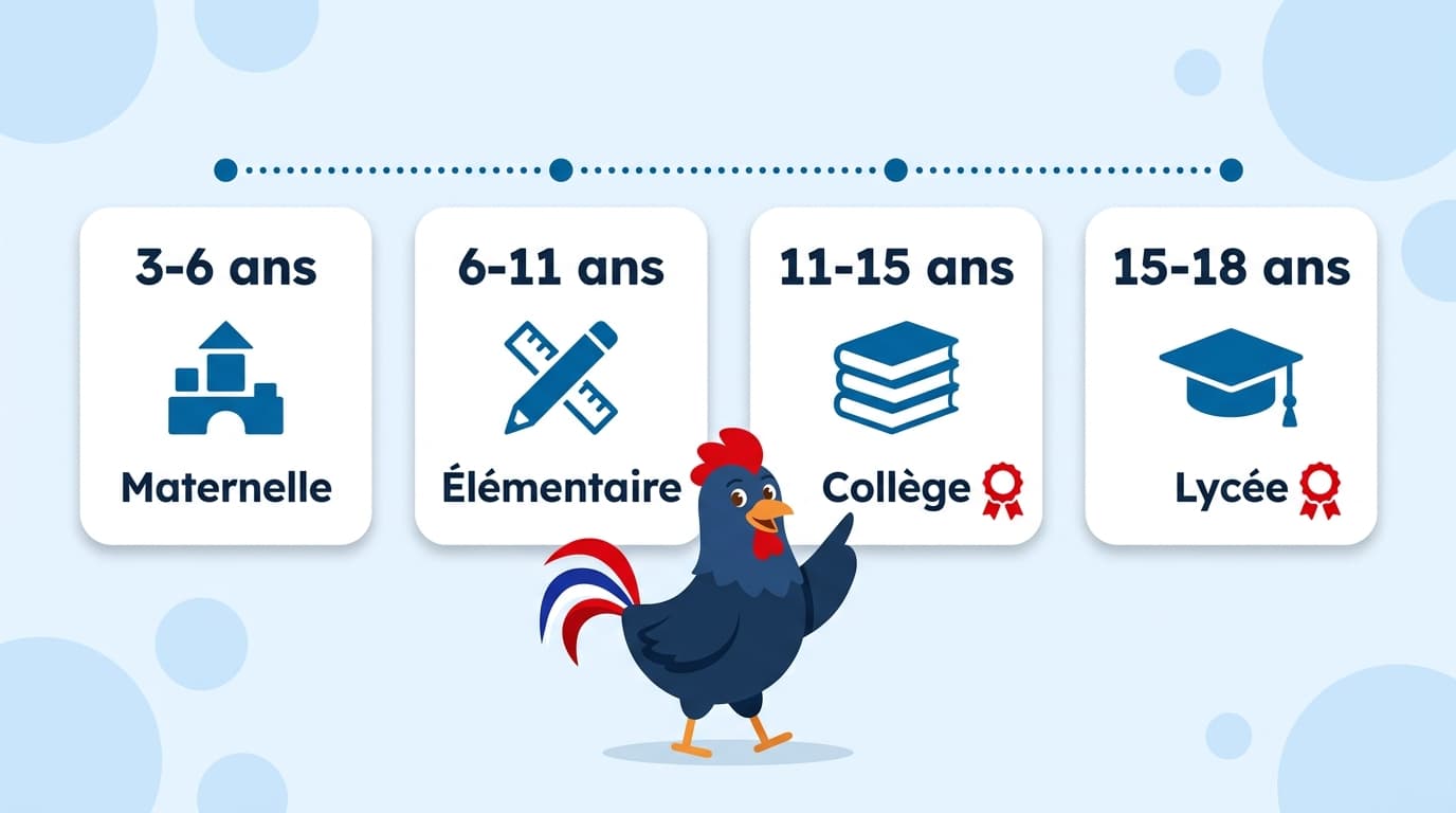 Les 4 niveaux du système éducatif français